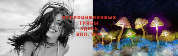 синтетический гашиш Богородицк