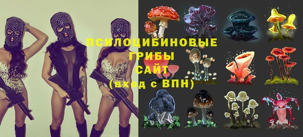синтетический гашиш Бронницы