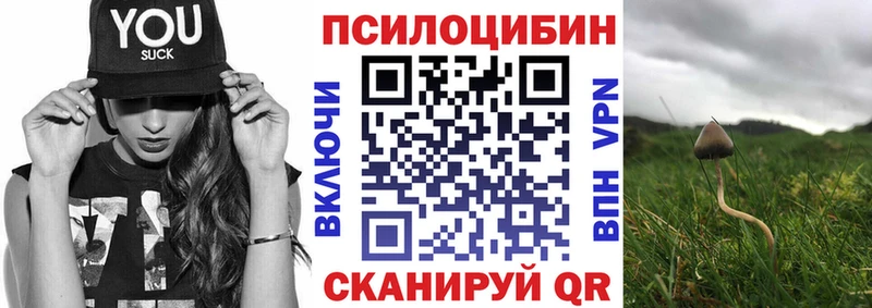 кракен ССЫЛКА  Ильский  Псилоцибиновые грибы прущие грибы 