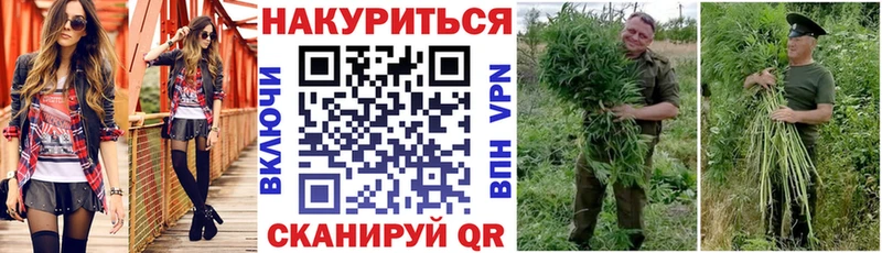 как найти закладки  Ильский  Каннабис VHQ 
